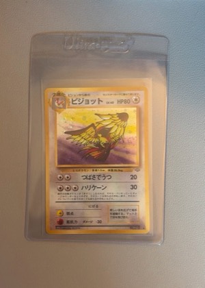 Pidgeot, graded 9.5