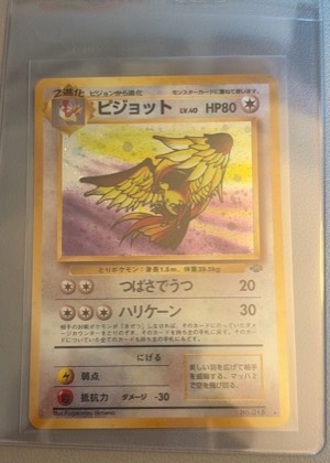 Pidgeot, graded 8.5