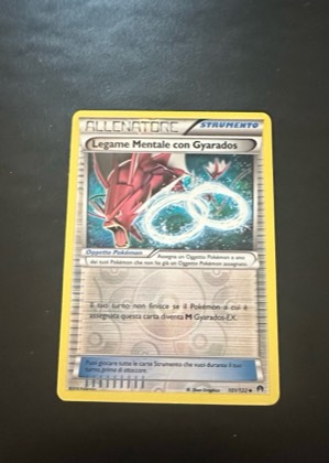 Legame Mentale con Gyarados, graded 9.0