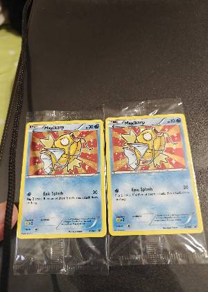 Magikarp, graded 9.5