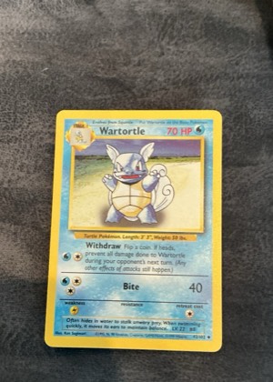 Wartortle, graded 8.0
