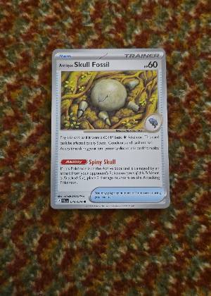 Antique Skull Fossil, graded 9.0