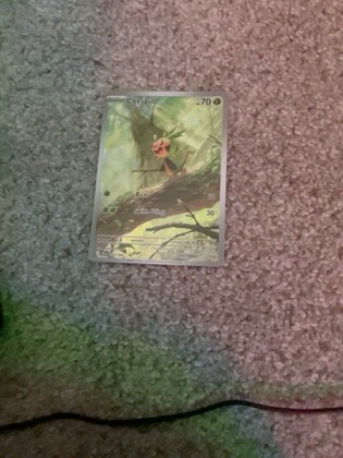 Chespin (7), graded 8.0