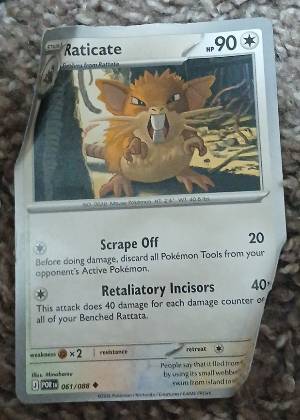 Raticate, graded 1.0