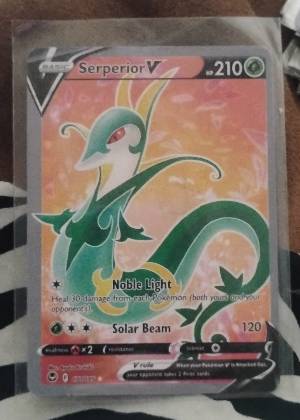 Serperior V graded 8