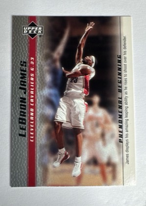 LeBron James, graded 9.5