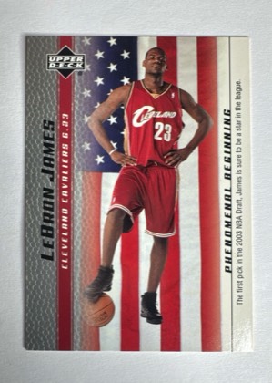 LeBron James, graded 9.0