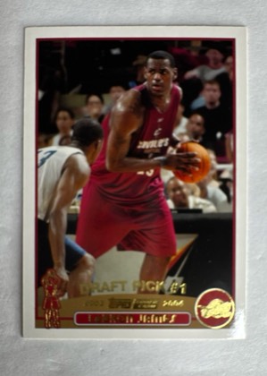 LeBron James, graded 9.0