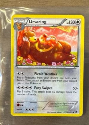 Ursaring, graded 9.0