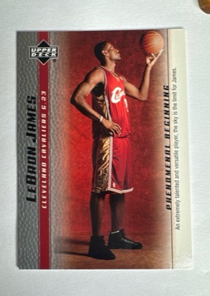 LeBron James, graded 9.5