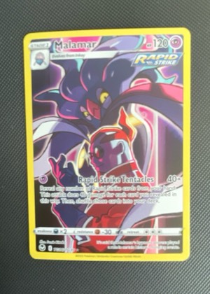 Malamar graded 9