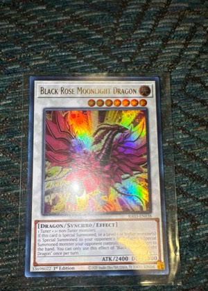 Black Rose Moonlight Dragon, graded 7.0