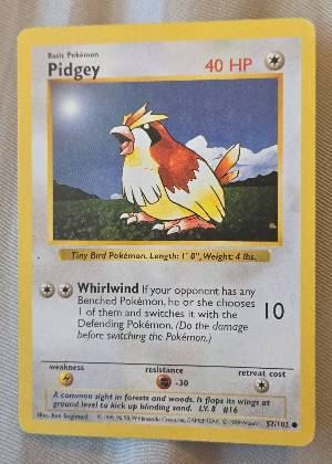 Pidgey graded 8.5