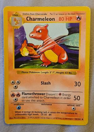 Charmeleon graded 8.5