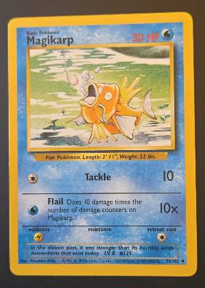 Magikarp graded 8.5