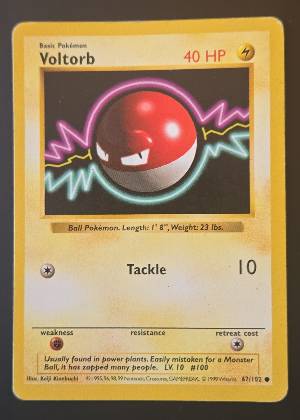 Voltorb, graded 8.0