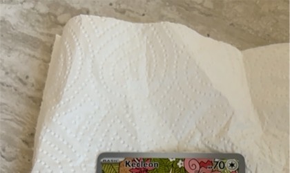 Kecleon, graded 9.5