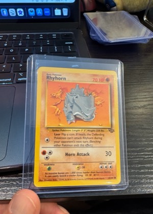 Rhyhorn, graded 7.0
