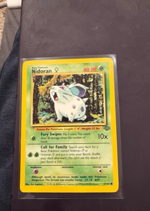Nidoran F, graded 8.5