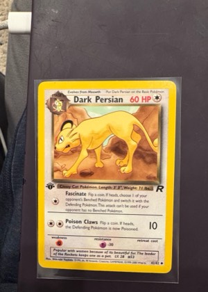 Dark Persian, graded 8.5