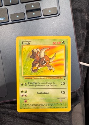 Pinsir, graded 3.0