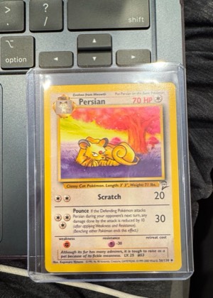 Persian, graded 7.5