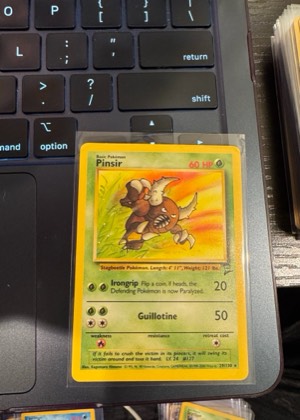 Pinsir, graded 8.0