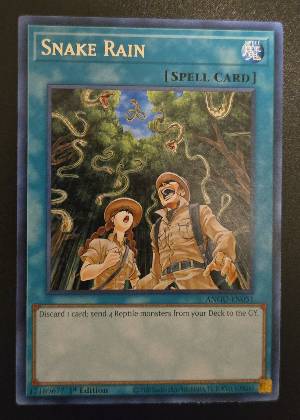 Snake Rain, graded 9.0
