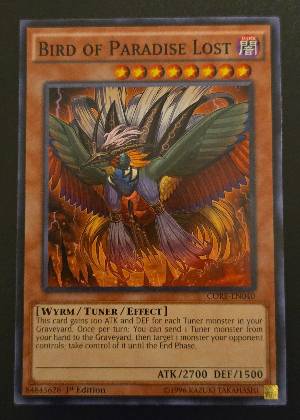 Bird of Paradise Lost, graded 9.0