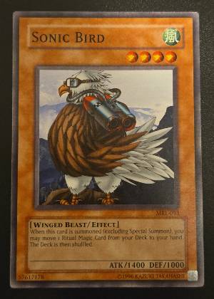 Sonic Bird, graded 7.5