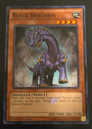 Black Brachios, graded 9.5