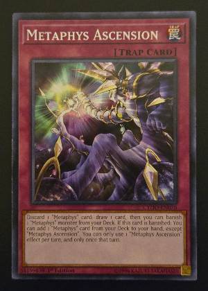 Metaphys Ascension, graded 9.0