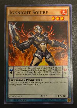 Igknight Squire, graded 9.0