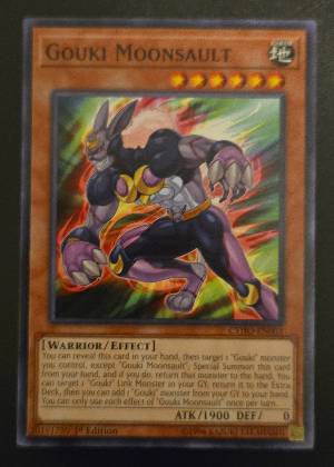 Gouki Moonsault, graded 9.0