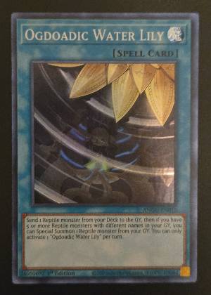 Ogdoadic Water Lily, graded 9.0