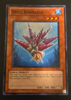 Drill Barnacle, graded 8.0