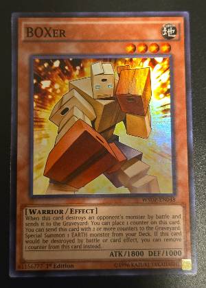 BOXer, graded 9.5