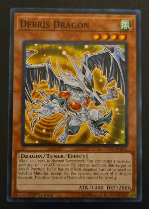 Debris Dragon, graded 8.5