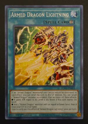 Armed Dragon Lightning, graded 9.0