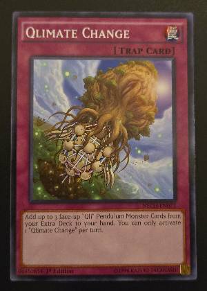 Qlimate Change, graded 9.5