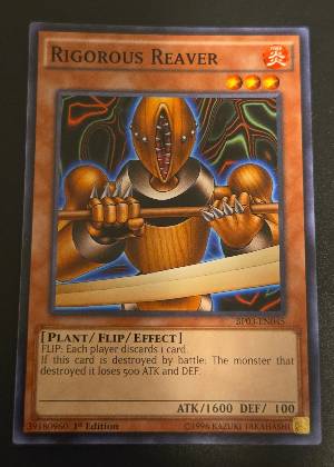 Rigorous Reaver, graded 9.5
