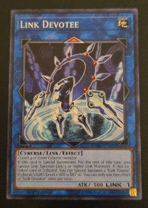 Link Devotee, graded 9.0