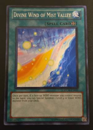 Divine Wind of Mist Valley, graded 9.5