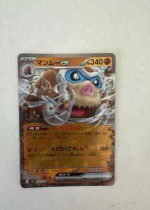 Mamoswine ex, graded 9.5