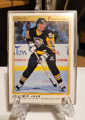 Jaromir Jagr, graded 7.5