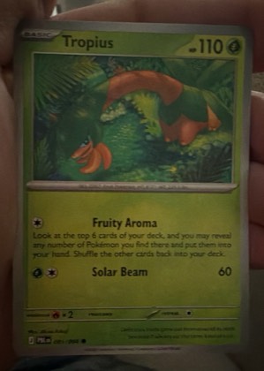Zigzagoon, graded 7.5