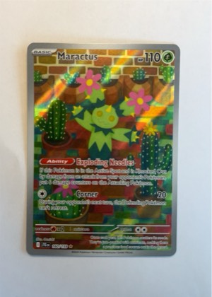 Maractus, graded 9.0