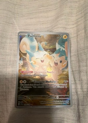 Pachirisu, graded 7.5