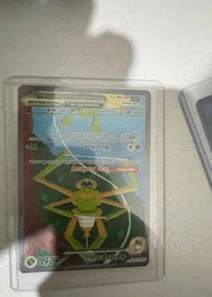 Spidops ex, graded 9.0