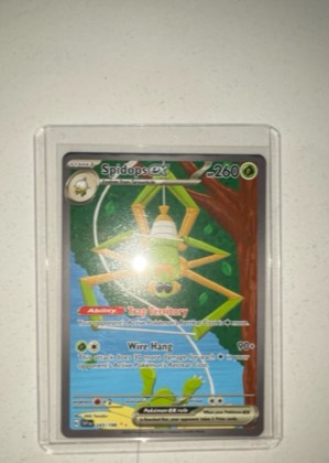 Spidops ex, graded 9.0